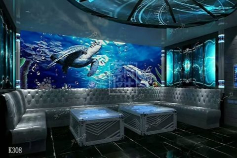 衡水小时场ktv，玩法精彩多样-枣强县ktv预定